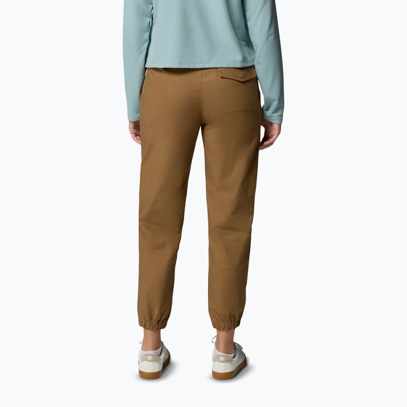 Pánske trekingové nohavice Columbia ROC Ripstop Jogger delta 3