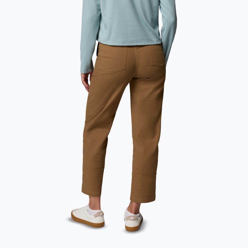 Pánske trekingové nohavice Columbia ROC Straight Leg delta 3