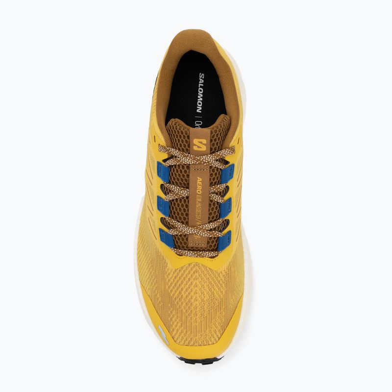 Pánska bežecká obuv Salomon Aero Blaze 3 GRVL spicy mustard/vanilla ice/nautical blue 5