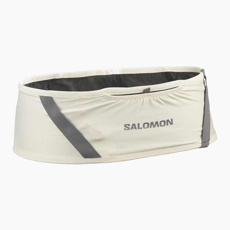 Bežecký pás Salomon Pulse icicle / castlerock 2