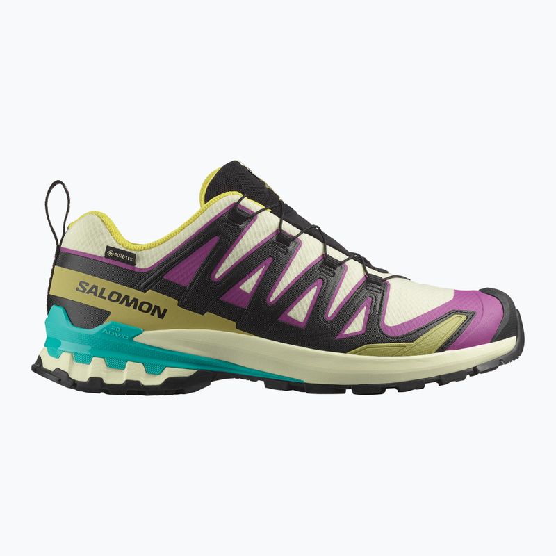 Pánske bežecké topánky Salomon XA PRO 3D V9 GTX transparent yellow/black/waterfall 8