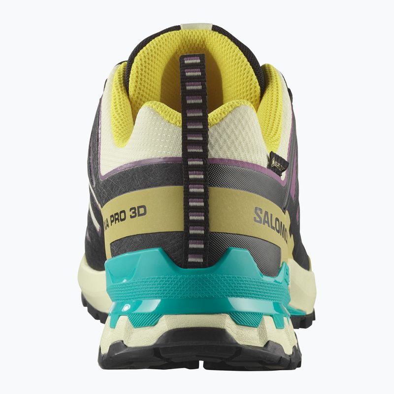 Pánske bežecké topánky Salomon XA PRO 3D V9 GTX transparent yellow/black/waterfall 10