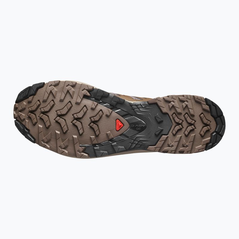 Buty do bieganie męskie Salomon XA Pro 3D V9 falcon/desert tan/black 5