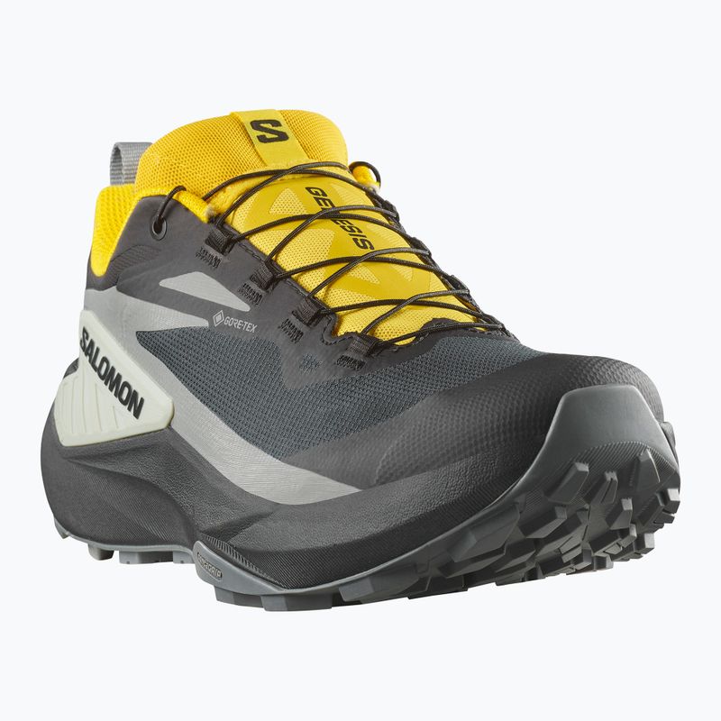 Pánske bežecké topánky Salomon Genesis GTX black/sedona sage/incaberry 8
