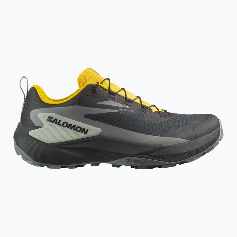 Pánske bežecké topánky Salomon Genesis GTX black/sedona sage/incaberry 9