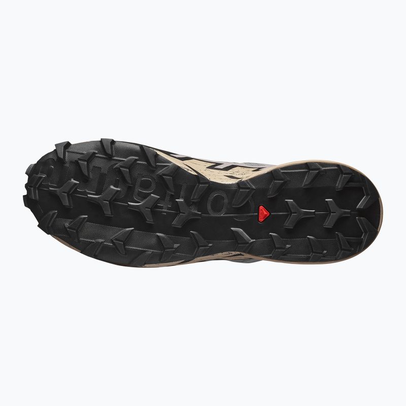 Pánske bežecké topánky Salomon Speedcross 6 GTX gull/white pepper/black 5