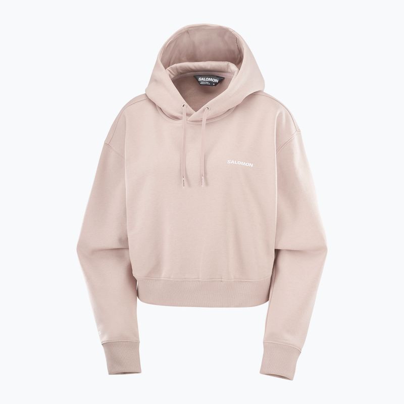 Dámska trekingová mikina Salomon Short Hoodie etherea