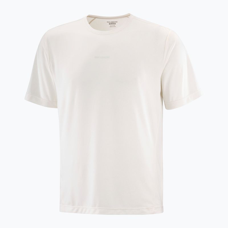 Pánske tričko Salomon Shakeout Core  whisper white 3