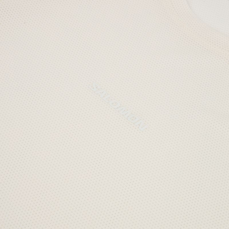 Pánske bežecké tričko longsleeve Salomon Shakeout Core whisper white 3