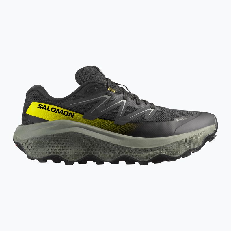 Pánske bežecké topánky Salomon Ultra Flow 2 GTX black/sedona sage/incaberry 8