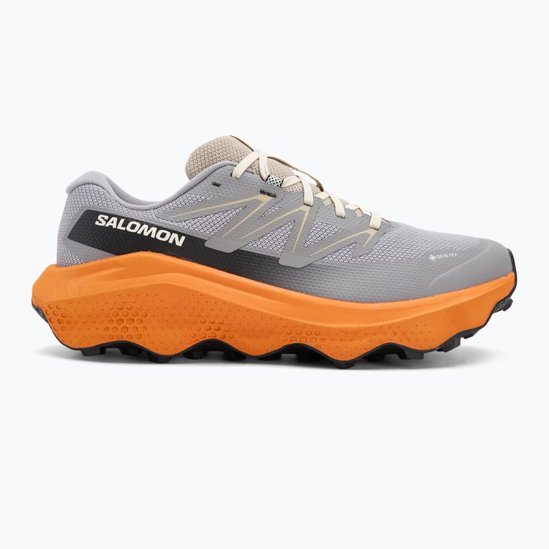 Pánske bežecké topánky Salomon Ultra Flow 2 GTX gull/turmeric/white pepper 2
