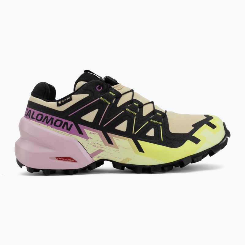 Dámske bežecké topánky Salomon Speedcross 6 GTX bog/dawn pink 2