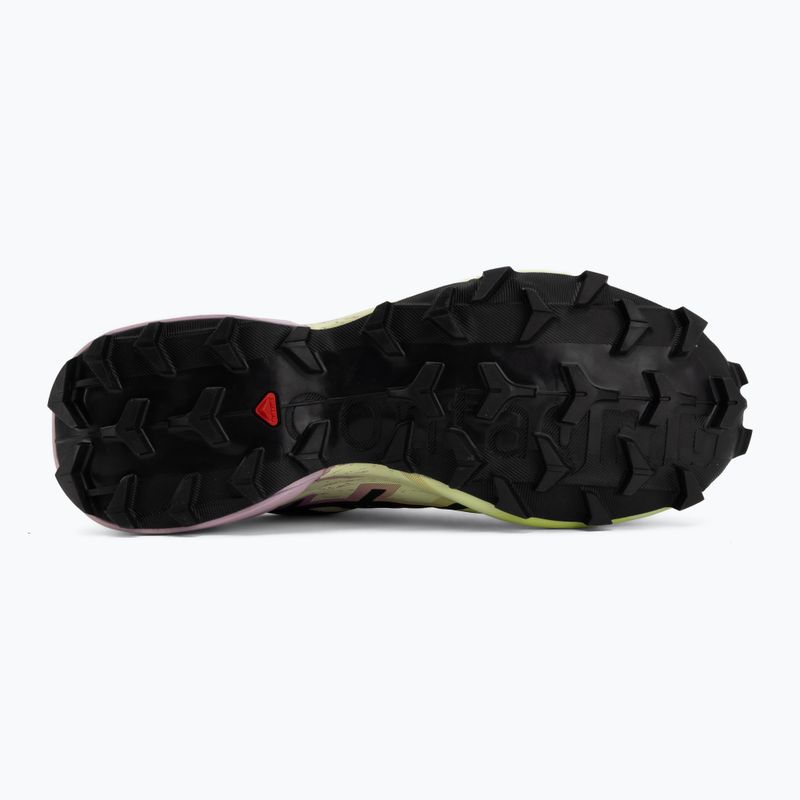 Dámske bežecké topánky Salomon Speedcross 6 GTX bog/dawn pink 4