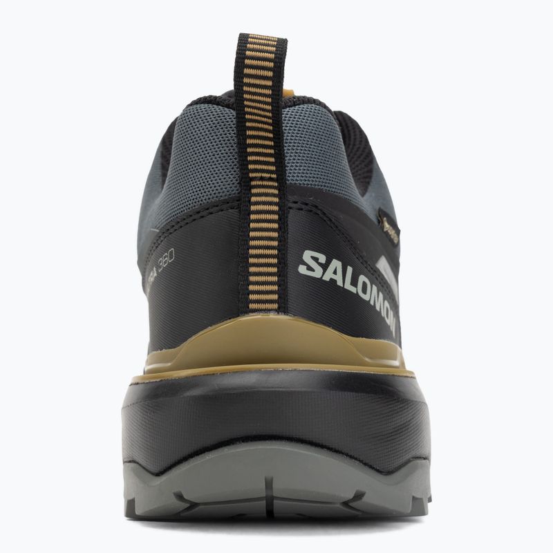 Pánske trekingové topánky Salomon X Ultra 360 GTX urban chic/black 6