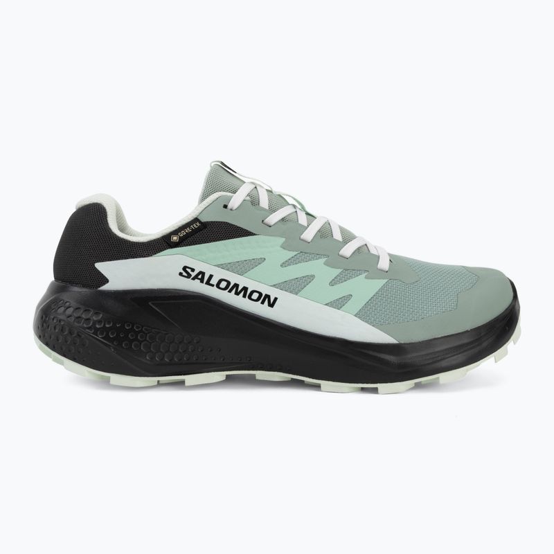 Dámske bežecké topánky Salomon Alphaglide GTX green milieu/asphalt 2