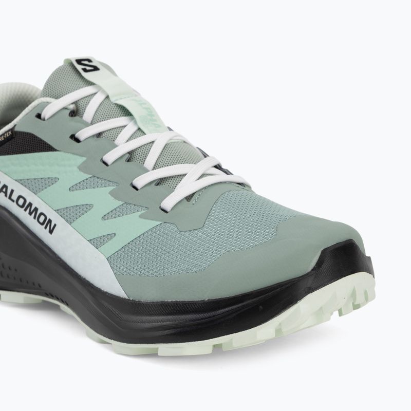 Dámske bežecké topánky Salomon Alphaglide GTX green milieu/asphalt 7