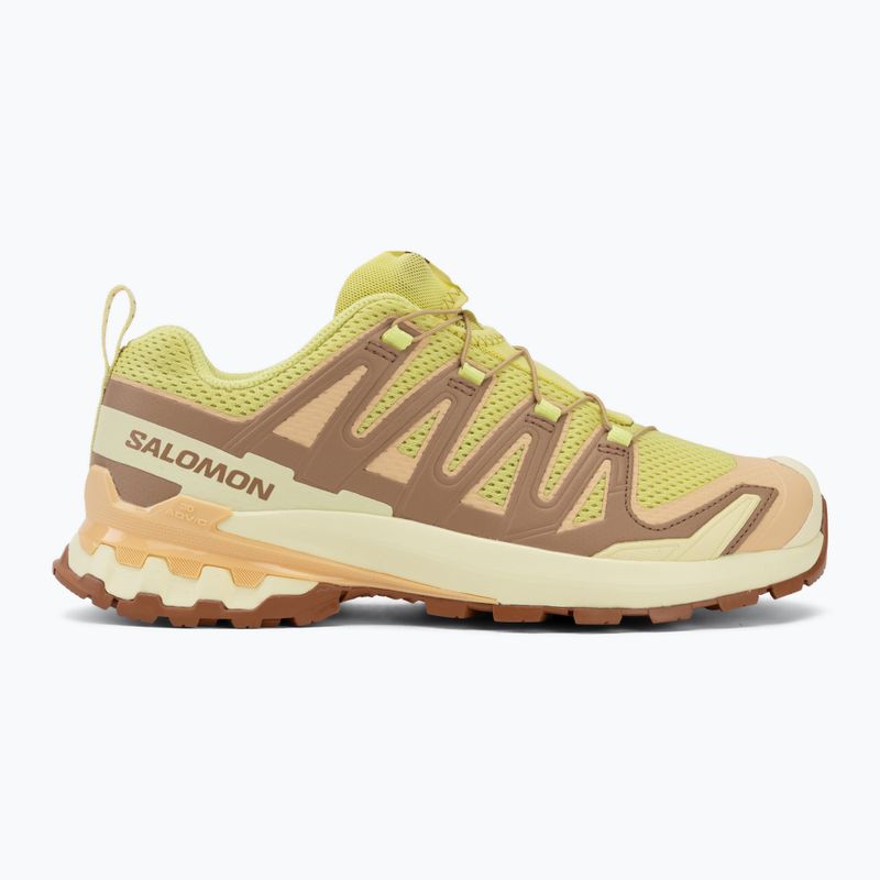 Dámske bežecké topánky Salomon XA Pro 3D V9 endive/burro/almond cream 2