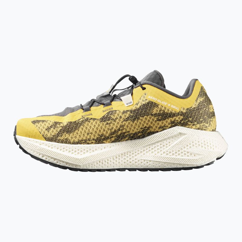 Pánske bežecké topánky Salomon Aero Glide 4 GRVL beach ball/asphalt/vanilla ice 2
