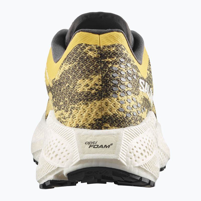 Pánske bežecké topánky Salomon Aero Glide 4 GRVL beach ball/asphalt/vanilla ice 4