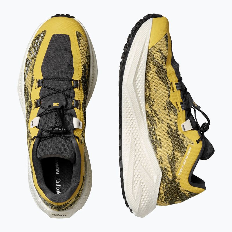 Pánske bežecké topánky Salomon Aero Glide 4 GRVL beach ball/asphalt/vanilla ice 5