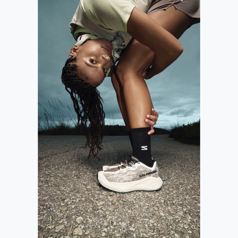 Dámske bežecké topánky Salomon Aero Glide 4 GRVL vanilla ice/black iron 8