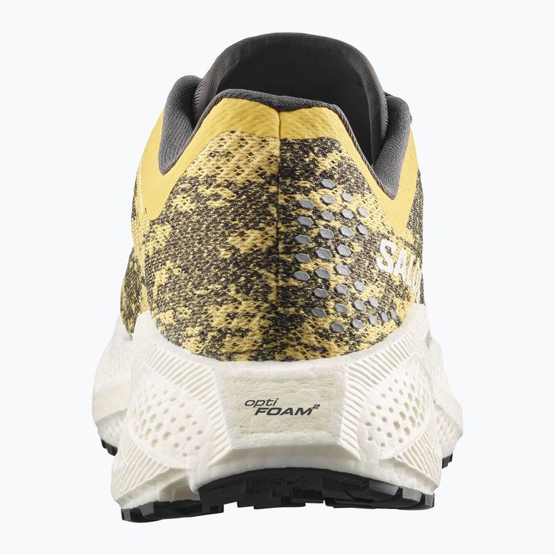 Dámske bežecké topánky Salomon Aero Glide 4 GRVL beach ball/asphalt/vanilla ice 10