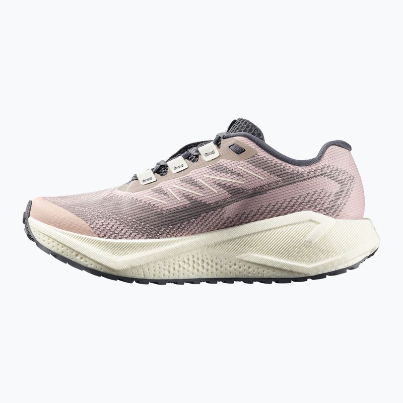 Dámske bežecké topánky Salomon Aero Blaze 3 GRVL shadow gray/vanilla ice/9iron 3