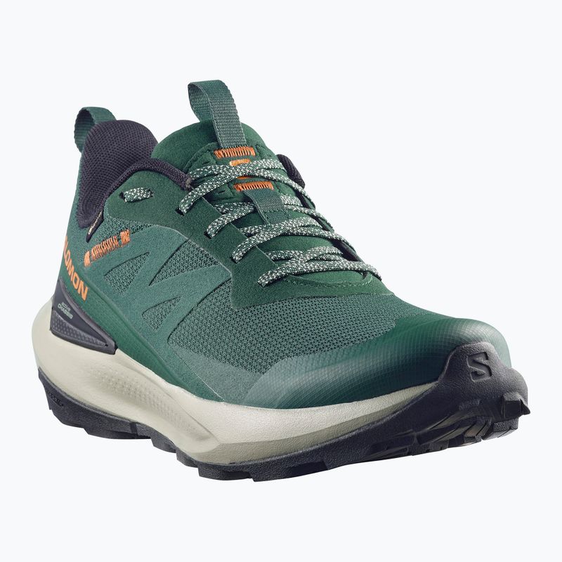 Pánske turistické topánky Salomon Elixir Activ GTX scarab/green gable 10