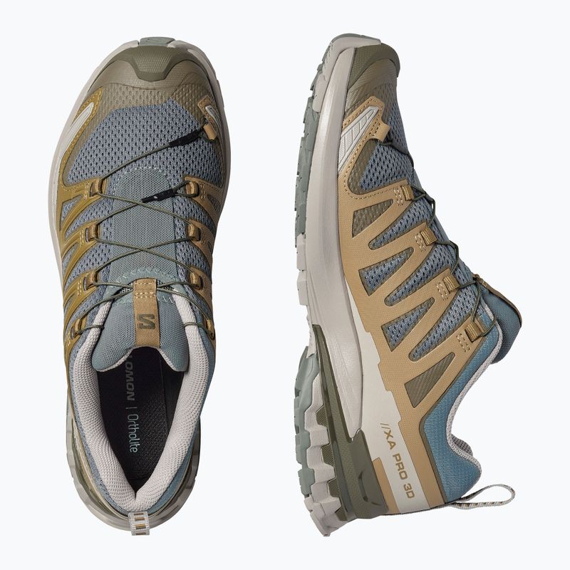 Pánske bežecké topánky Salomon XA Pro 3D V9 sedona sage/plantation/paloma 5