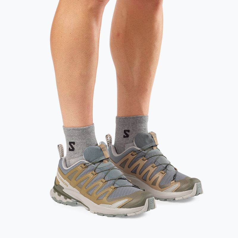 Pánske bežecké topánky Salomon XA Pro 3D V9 sedona sage/plantation/paloma 7