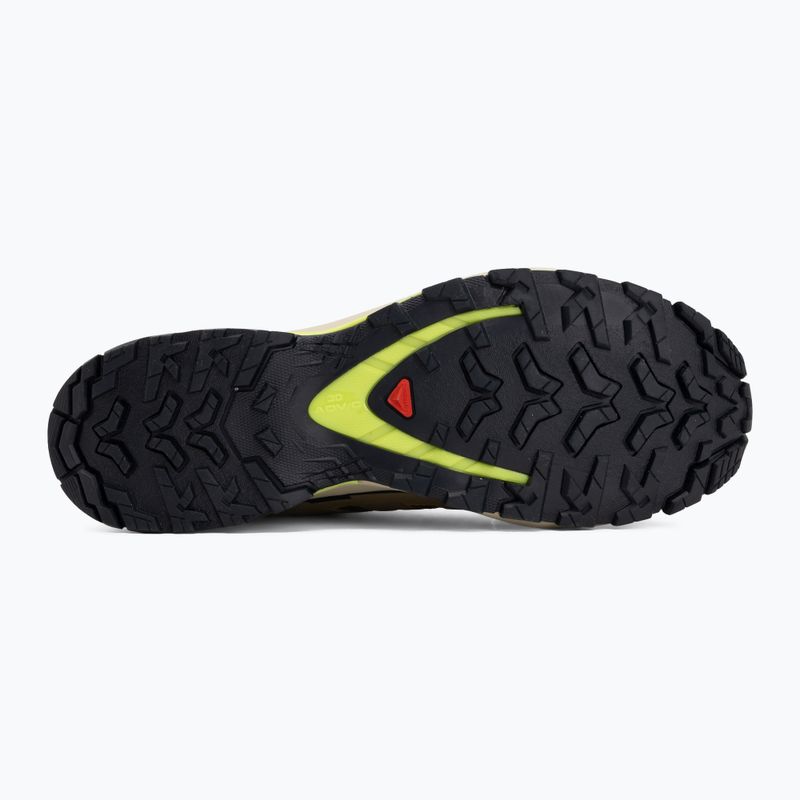 Pánske bežecké topánky Salomon XA Pro 3D V9 GTX grape leaf/aloe 4
