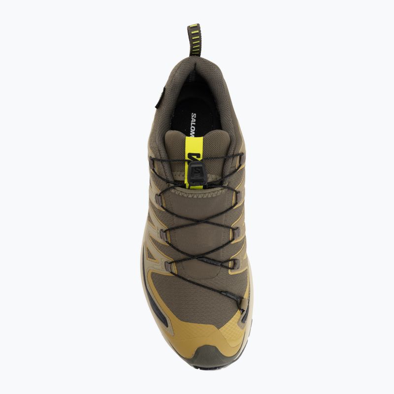 Pánske bežecké topánky Salomon XA Pro 3D V9 GTX grape leaf/aloe 5