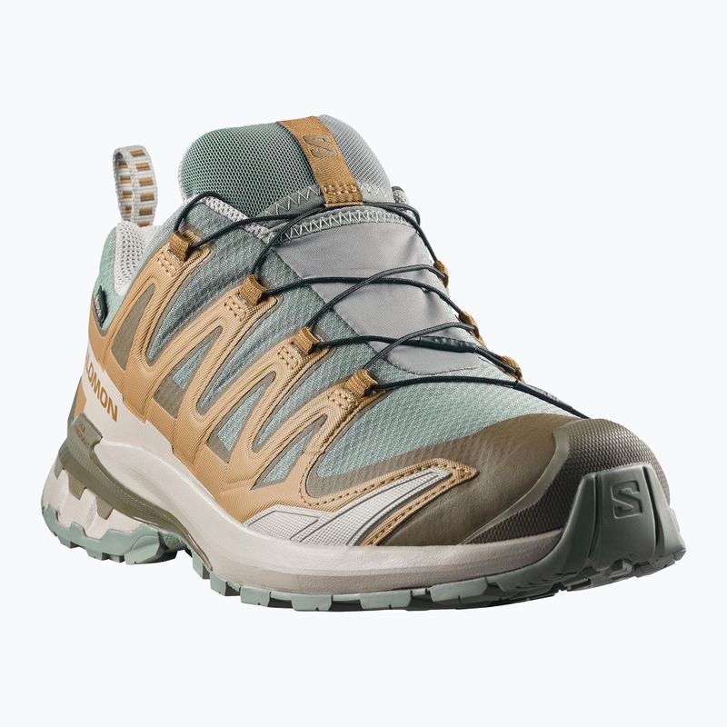 Pánske bežecké topánky Salomon XA Pro 3D V9 GTX sedona sage/brilliant olive 2