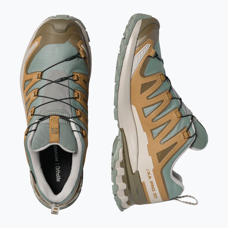 Pánske bežecké topánky Salomon XA Pro 3D V9 GTX sedona sage/brilliant olive 3