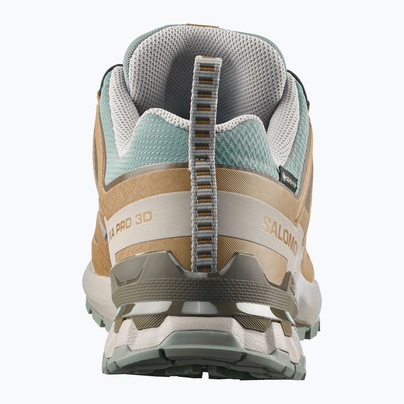 Pánske bežecké topánky Salomon XA Pro 3D V9 GTX sedona sage/brilliant olive 5