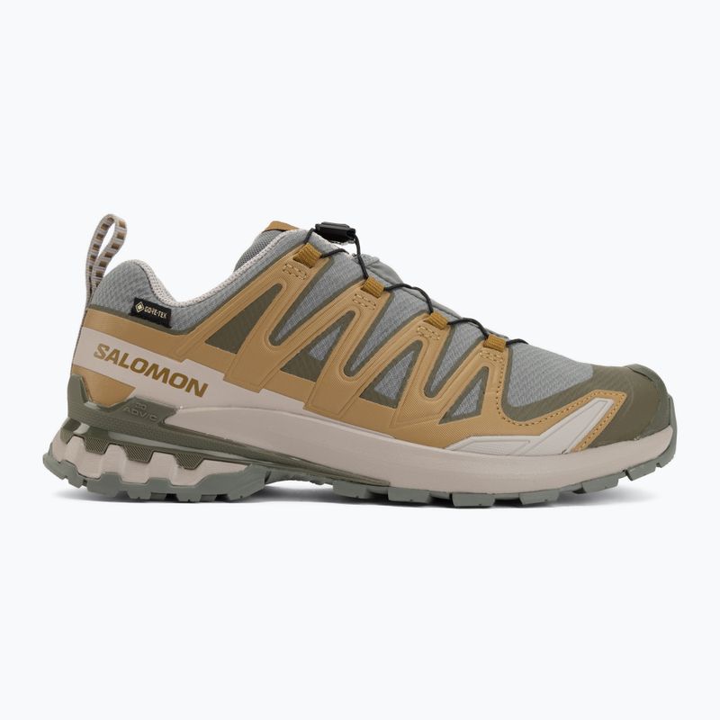 Pánske bežecké topánky Salomon XA Pro 3D V9 GTX sedona sage/brilliant olive 2