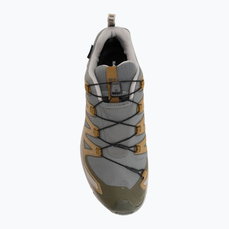 Pánske bežecké topánky Salomon XA Pro 3D V9 GTX sedona sage/brilliant olive 5