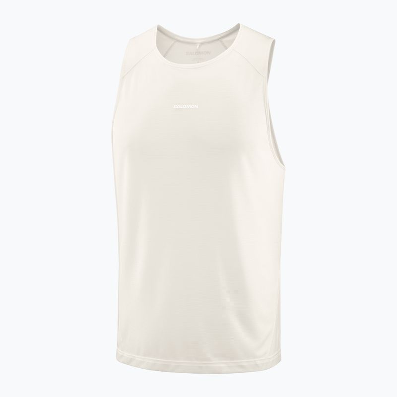 Pánske tričko Salomon Shakeout Core whisper white 3
