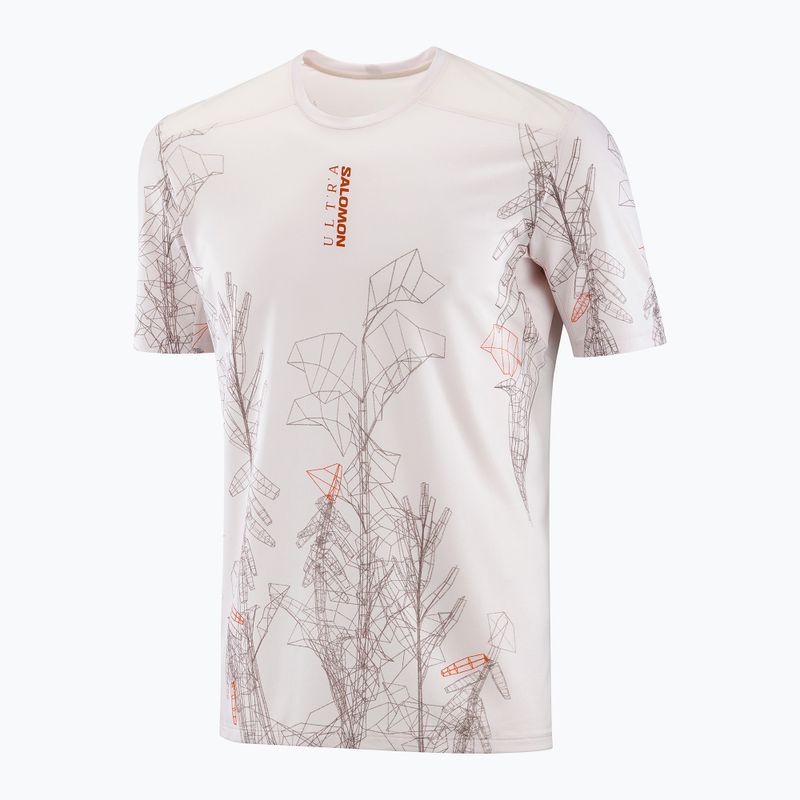 Pánske bežecké tričko Salomon S/Lab Ultra Tee Aop lilac ash 4