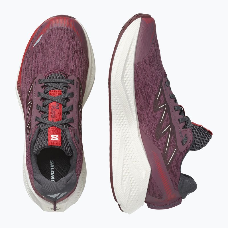 Dámske bežecké topánky Salomon Aero Glide 4 huckleberry/vanilla ice 3
