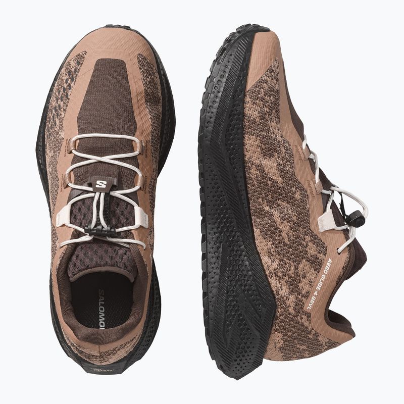 Pánske bežecké topánky Salomon Aero Glide 4 GRVL burro/black 6