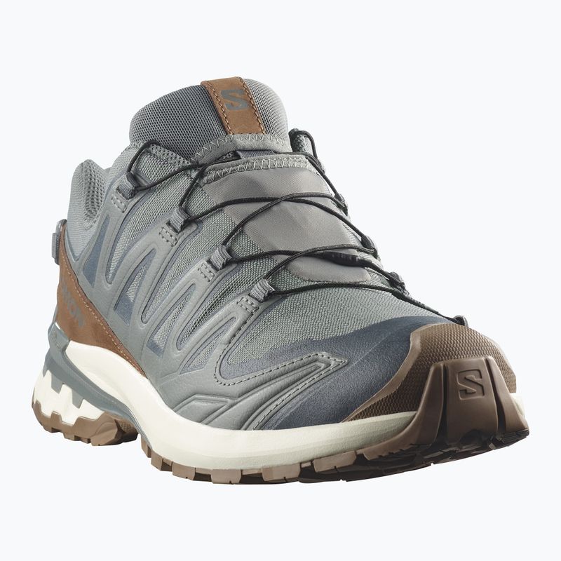 Pánske bežecké topánky Salomon XA Pro 3D V9 GTX Lifelong sedona sage/coyote brown 2