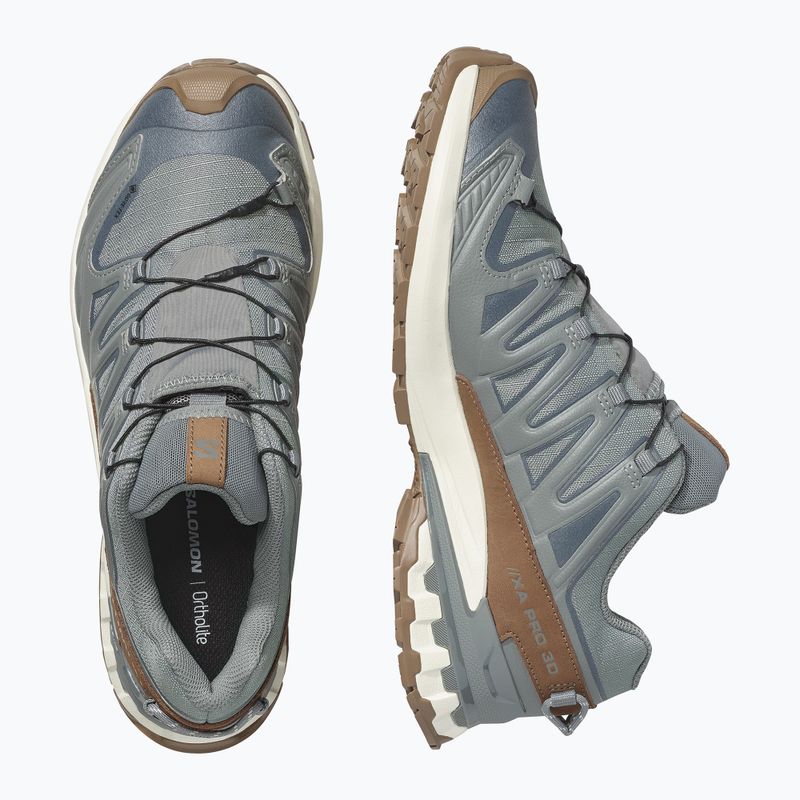 Pánske bežecké topánky Salomon XA Pro 3D V9 GTX Lifelong sedona sage/coyote brown 3