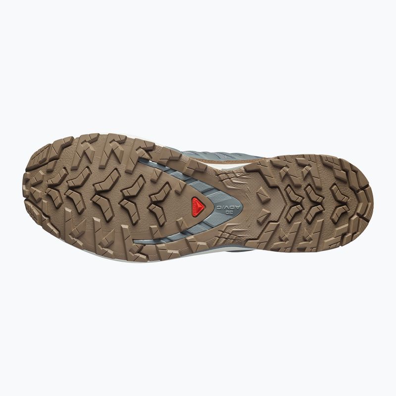 Pánske bežecké topánky Salomon XA Pro 3D V9 GTX Lifelong sedona sage/coyote brown 4