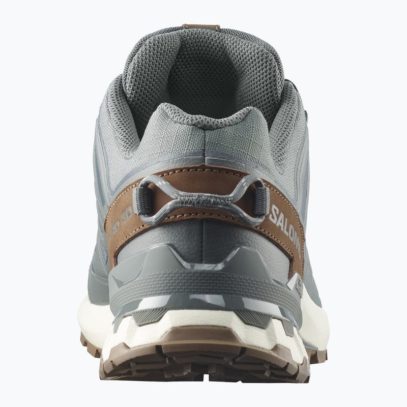 Pánske bežecké topánky Salomon XA Pro 3D V9 GTX Lifelong sedona sage/coyote brown 5