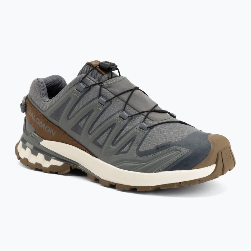 Pánske bežecké topánky Salomon XA Pro 3D V9 GTX Lifelong sedona sage/coyote brown