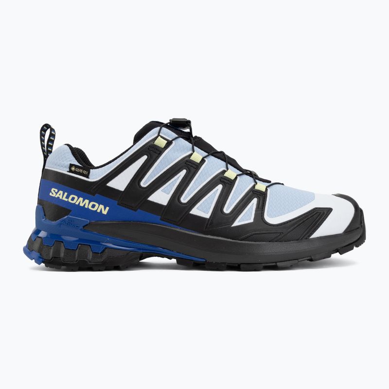 Pánske bežecké topánky Salomon XA Pro 3D V9 GTX Icon black/brunnera blue 2