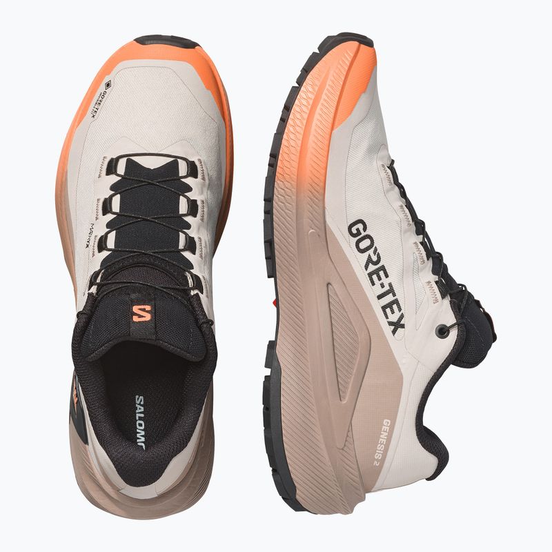 Dámske bežecké topánky Salomon Genesis 2 GTX rainy day/desert tan 3