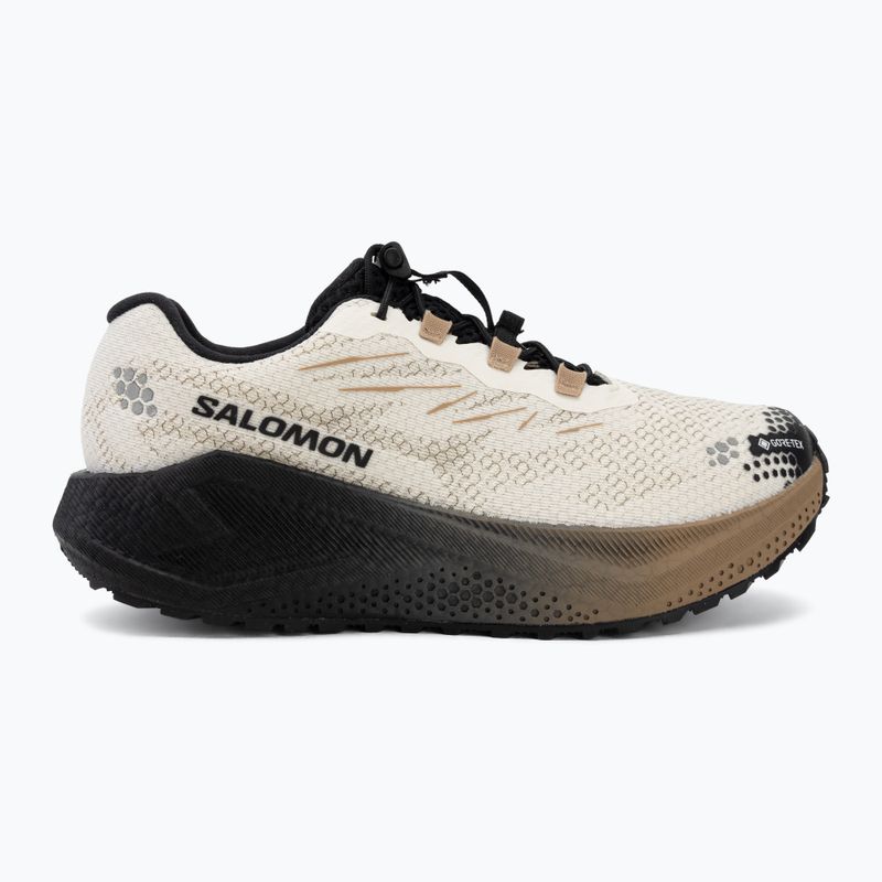 Dámske bežecké topánky Salomon Aero Blaze 4 GRVL GTX vanilla ice/black 2