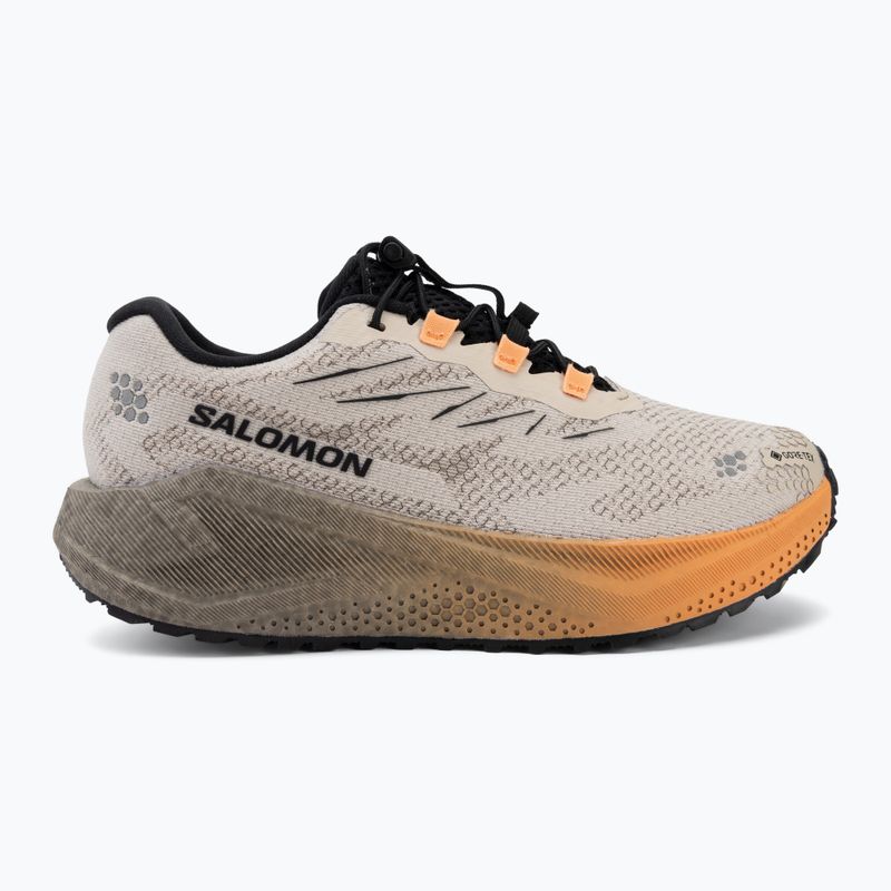Dámske bežecké topánky Salomon Aero Blaze 4 GRVL GTX rainy day/black 2